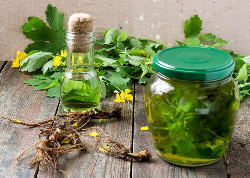 Infusão de celidônia para combater papilomas